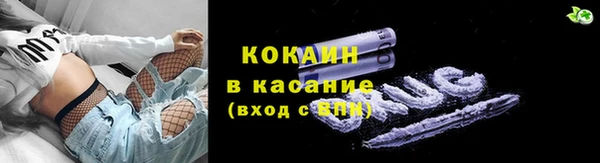 гидра Алексин