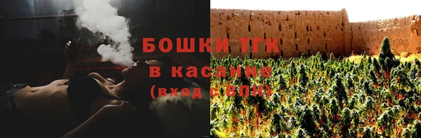 ГАЛЛЮЦИНОГЕННЫЕ ГРИБЫ Арсеньев